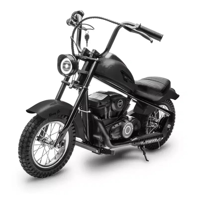 24V Kids Electric Dirt Bike - 14 MPH Off-Road Motorcycle for Ages 6-12, 250w Powerful Motor, 60 Min Ride Time, Hydraulic Suspension, Max 135 Lbs