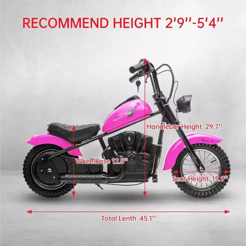24V Kids Electric Dirt Bike - 14 MPH Off-Road Motorcycle for Ages 6-12, 250w Powerful Motor, 60 Min Ride Time, Hydraulic Suspension, Max 135 Lbs