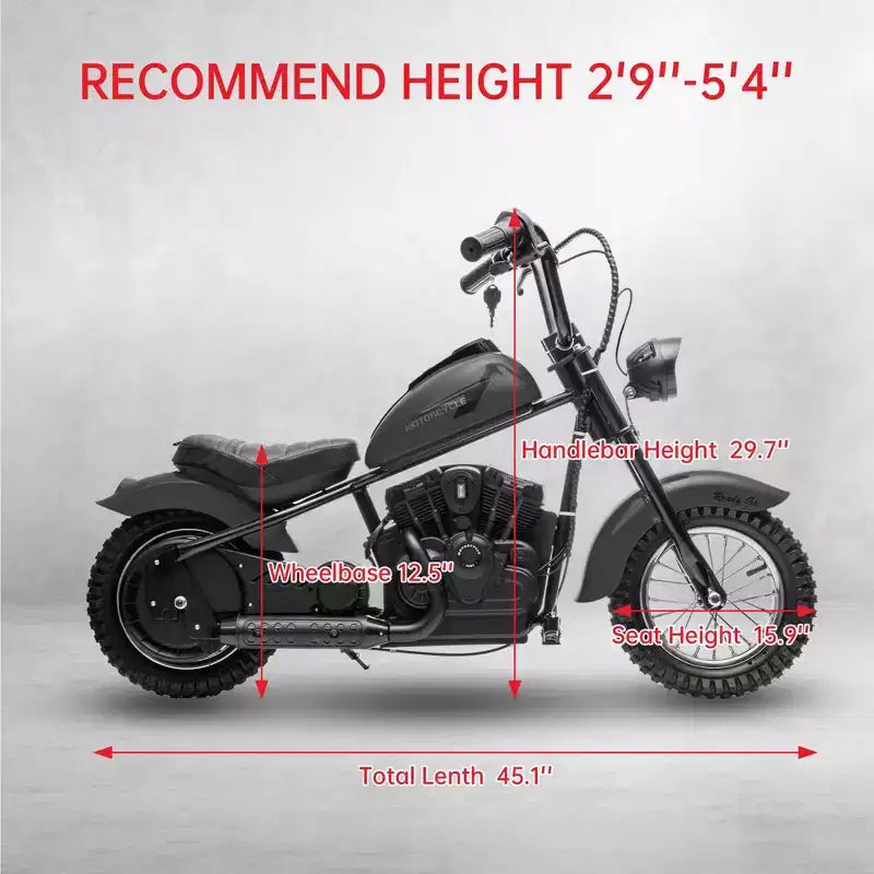 24V Kids Electric Dirt Bike - 14 MPH Off-Road Motorcycle for Ages 6-12, 250w Powerful Motor, 60 Min Ride Time, Hydraulic Suspension, Max 135 Lbs