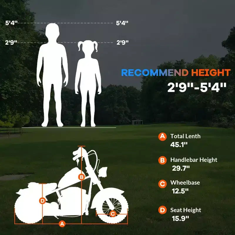 24V Kids Electric Dirt Bike - 14 MPH Off-Road Motorcycle for Ages 6-12, 250w Powerful Motor, 60 Min Ride Time, Hydraulic Suspension, Max 135 Lbs
