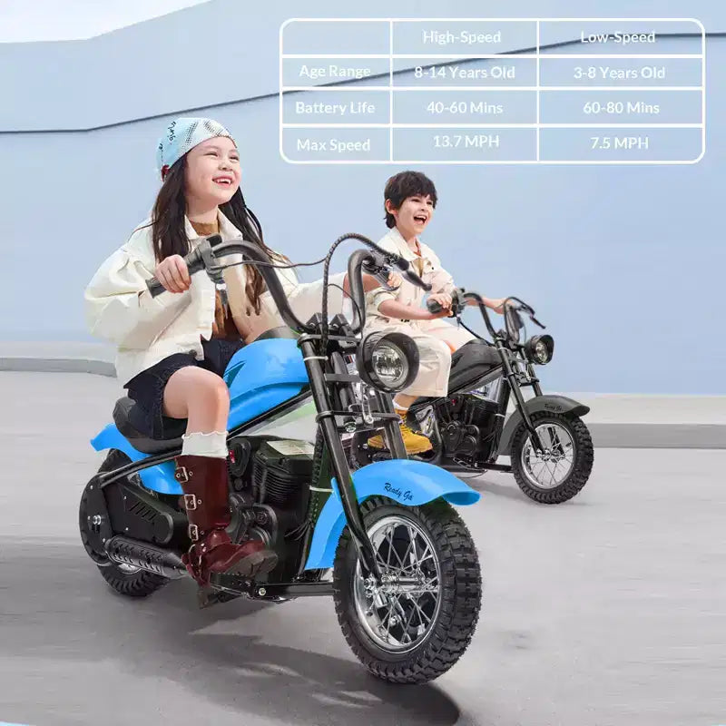 24V Kids Electric Dirt Bike - 14 MPH Off-Road Motorcycle for Ages 6-12, 250w Powerful Motor, 60 Min Ride Time, Hydraulic Suspension, Max 135 Lbs