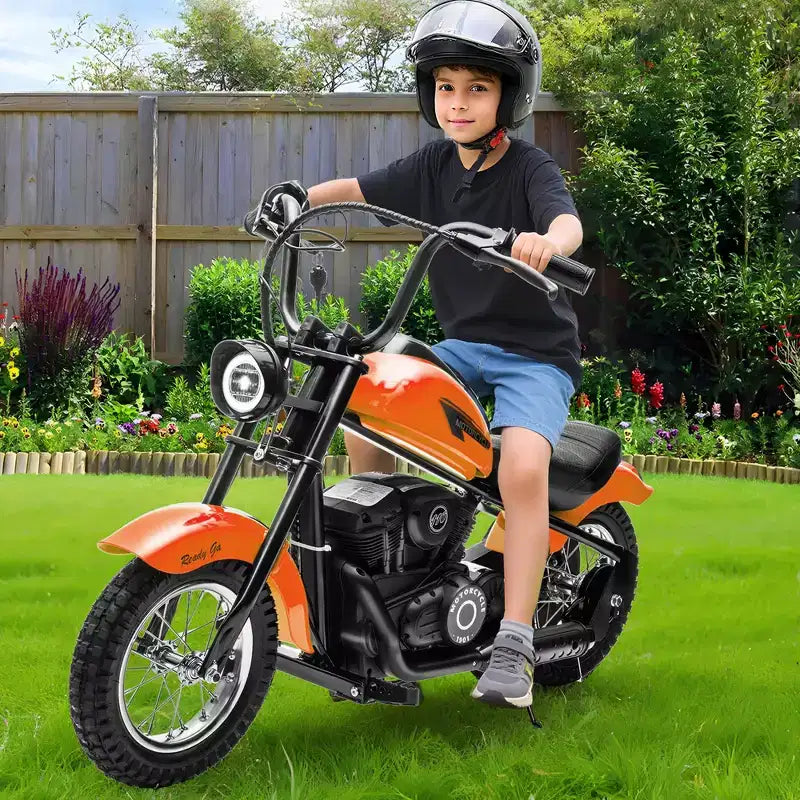24V Kids Electric Dirt Bike - 14 MPH Off-Road Motorcycle for Ages 6-12, 250w Powerful Motor, 60 Min Ride Time, Hydraulic Suspension, Max 135 Lbs