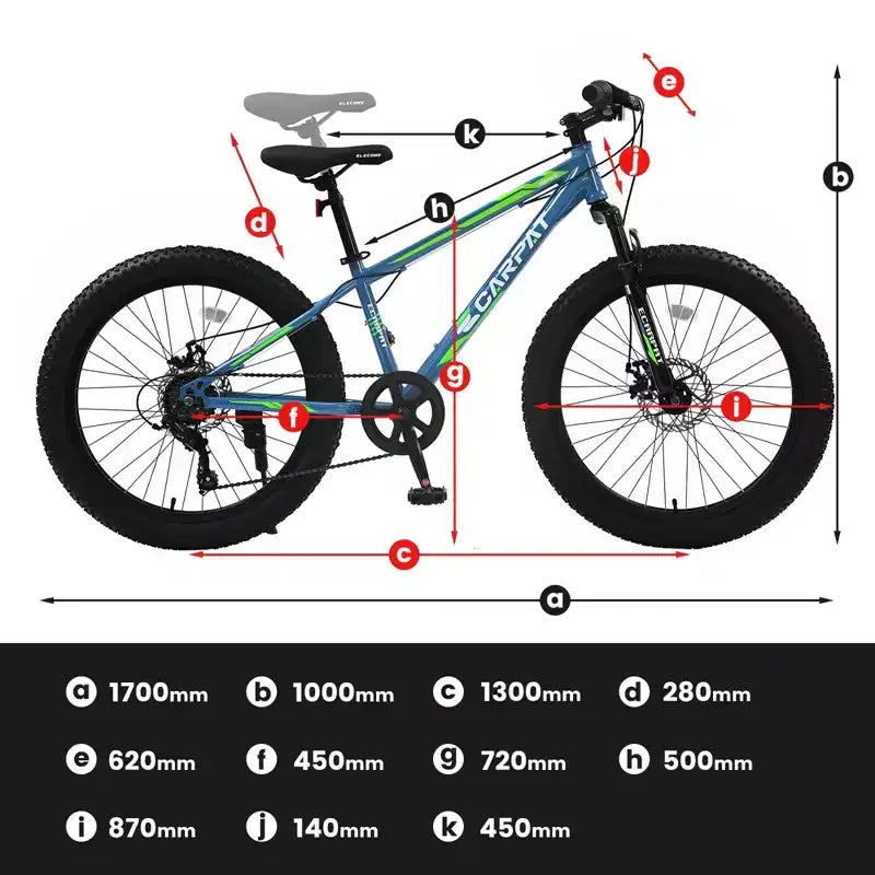 NAYSAYE 24 Inch Fat Tire Mountain Bike with 7 Speed Shifter Dual Disc Brake for Adults and Youth, Blue and Green, 67*25*40