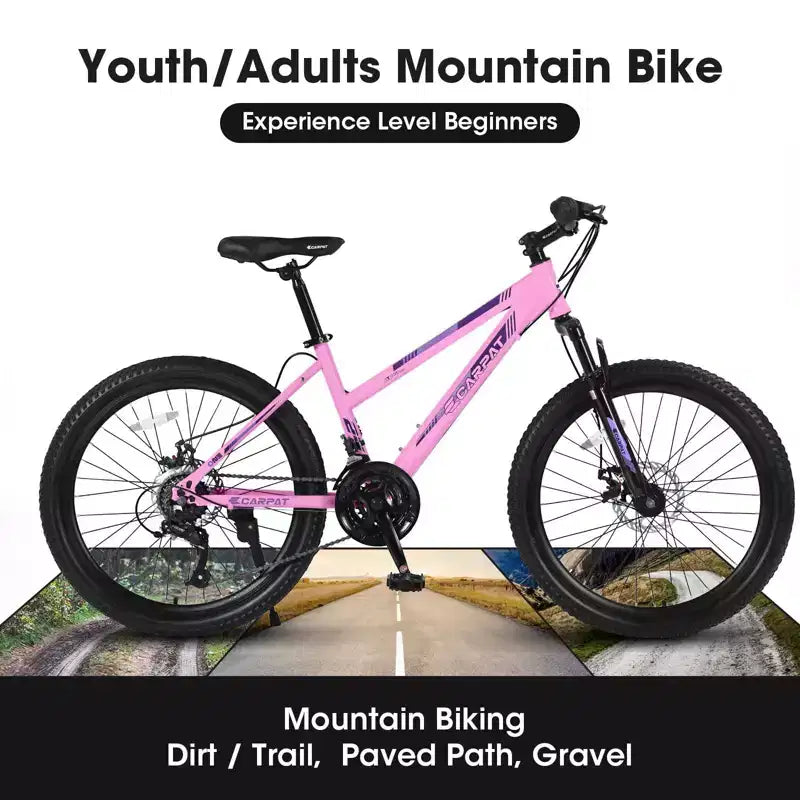 NAYSAYE Bicycle 24 Inch Mountain Bike with 21 Speed Shifter Dual Disc Brakes for Teenagers and Women, Pink, 66*24.8*35