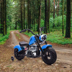 COZONY 36V Kids Electric Dirt Bike, 350W Brushless Motor, 16.5 MPH, with Training Wheels