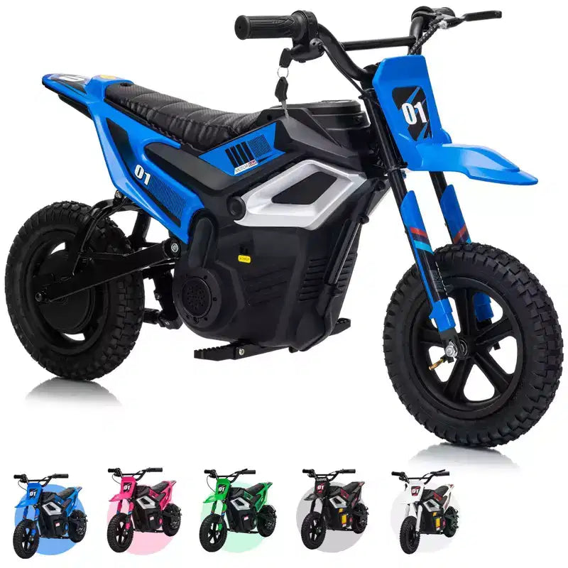 24V Electric Dirt Bike, 350w Kids Motorcycle, 13.67 Mph, Ride on Motorcycle with Rear Wheel Suspension, 12 Miles Range, Grip Throttle, Music