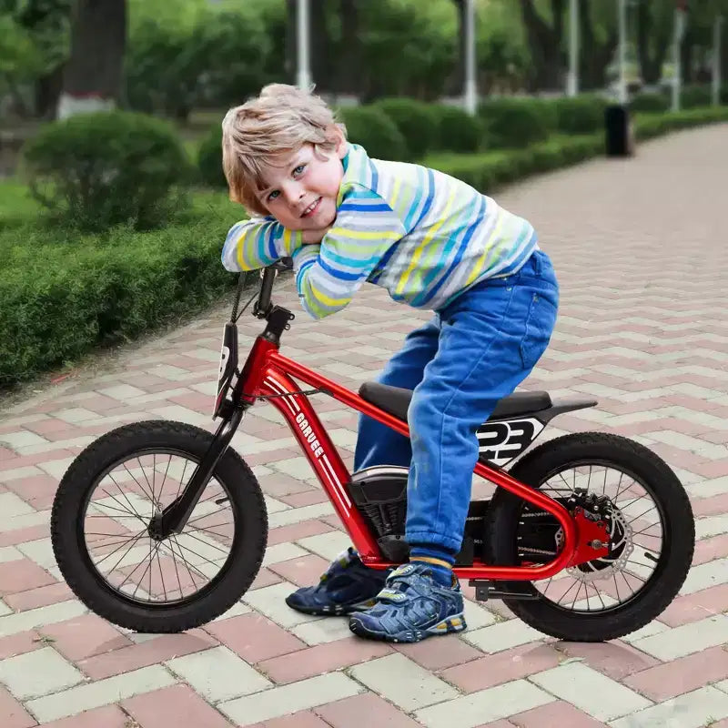 Electric Dirt Bike for Kids Ages 6-12, 250W Electric Balance Bike, 15.5MPH Max Speed & 3 Speed Settings, 24V/5.2AH Battery