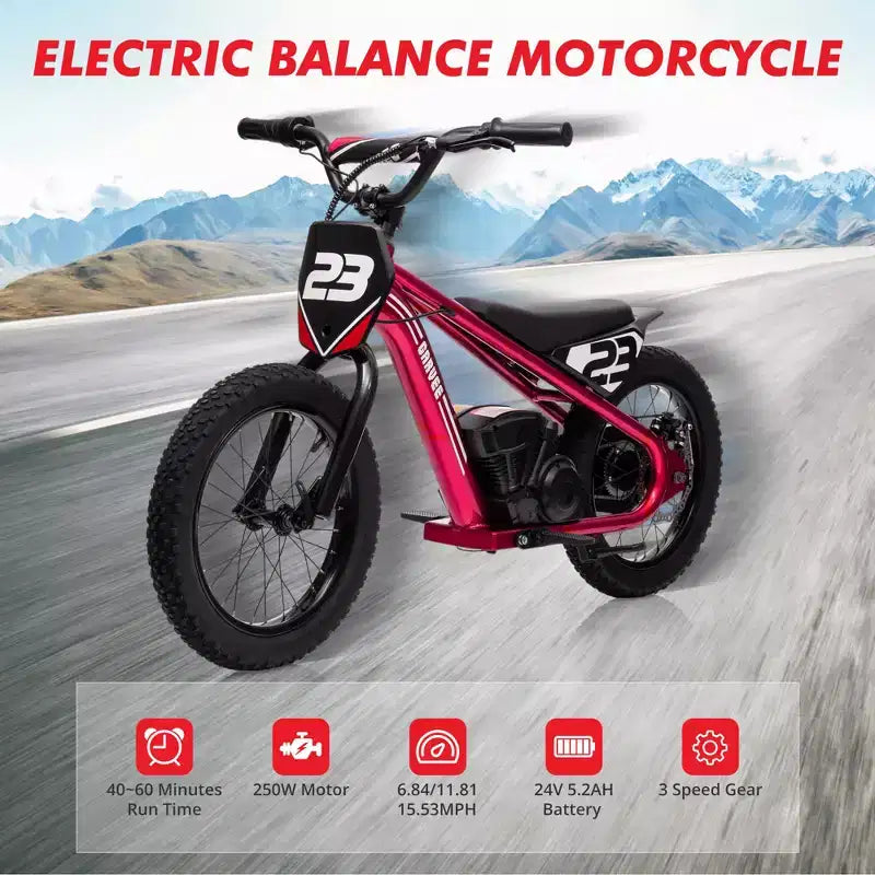 Electric Dirt Bike for Kids Ages 6-12, 250W Electric Balance Bike, 15.5MPH Max Speed & 3 Speed Settings, 24V/5.2AH Battery