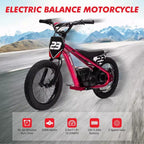 Electric Dirt Bike for Kids Ages 6-12, 250W Electric Balance Bike, 15.5MPH Max Speed & 3 Speed Settings, 24V/5.2AH Battery