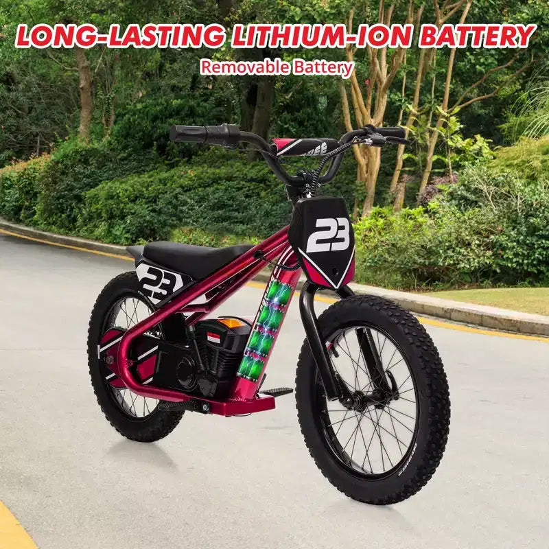 Electric Dirt Bike for Kids Ages 6-12, 250W Electric Balance Bike, 15.5MPH Max Speed & 3 Speed Settings, 24V/5.2AH Battery