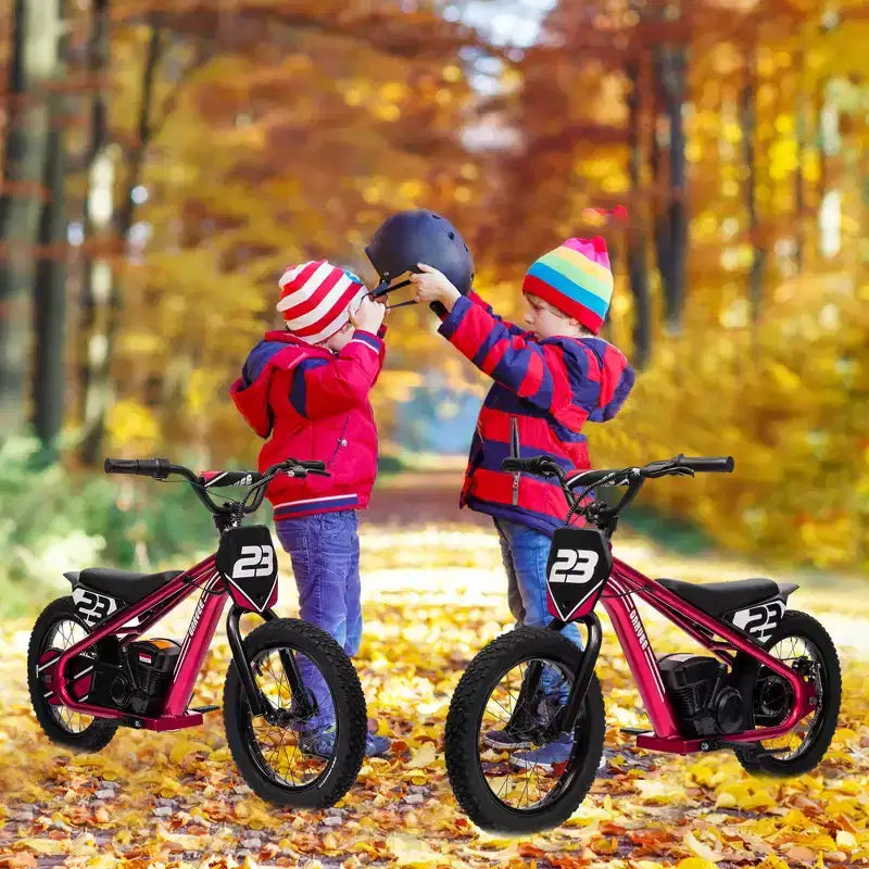 Electric Dirt Bike for Kids Ages 6-12, 250W Electric Balance Bike, 15.5MPH Max Speed & 3 Speed Settings, 24V/5.2AH Battery