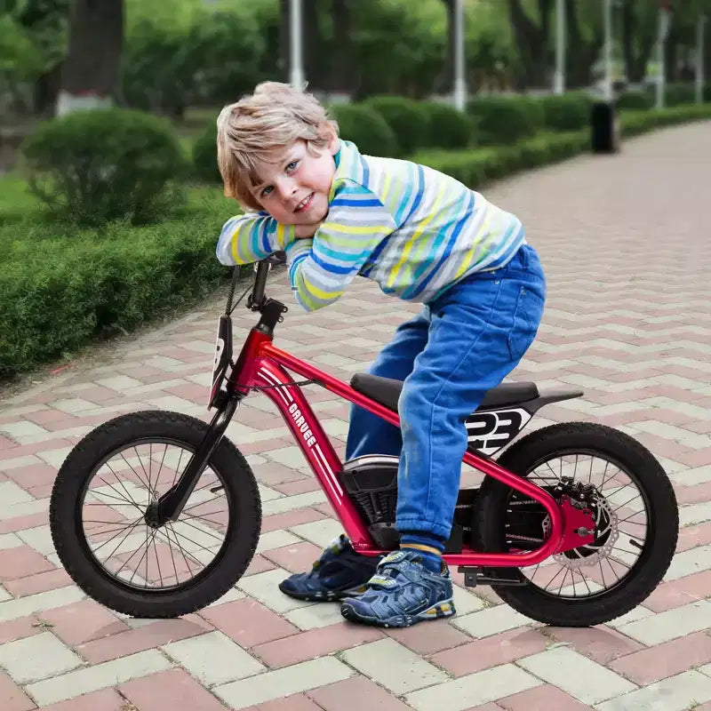Electric Dirt Bike for Kids Ages 6-12, 250W Electric Balance Bike, 15.5MPH Max Speed & 3 Speed Settings, 24V/5.2AH Battery