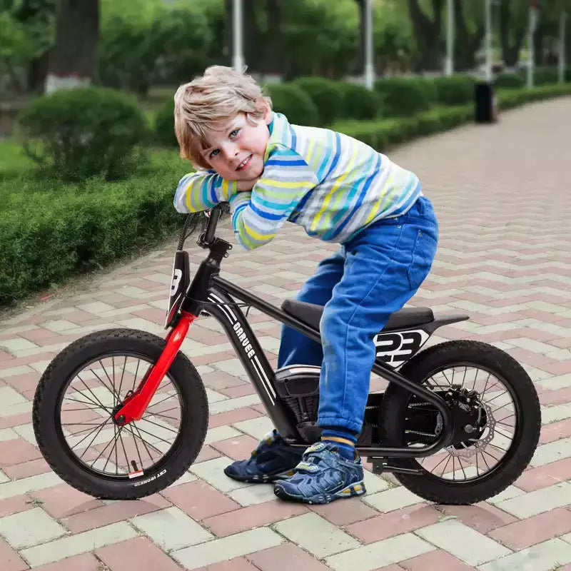 Electric Dirt Bike for Kids Ages 6-12, 250W Electric Balance Bike, 15.5MPH Max Speed & 3 Speed Settings, 24V/5.2AH Battery