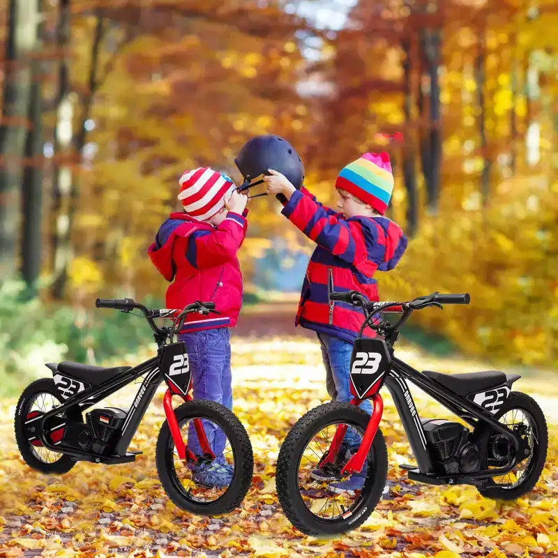 Electric Dirt Bike for Kids Ages 6-12, 250W Electric Balance Bike, 15.5MPH Max Speed & 3 Speed Settings, 24V/5.2AH Battery