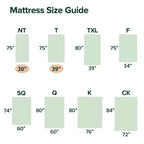 Zinus 6 Inch Queen Green Tea Memory Foam Mattress, Fiberglass Free, Medium Firm Feel, Zoned Pressure Relief, Certified Safe Foams & Fabric