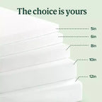 Zinus 6 Inch Queen Green Tea Memory Foam Mattress, Fiberglass Free, Medium Firm Feel, Zoned Pressure Relief, Certified Safe Foams & Fabric