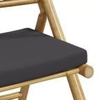 vidaXL Folding Bistro Set with Bamboo and Cushions