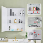 Elise Medicine Cabinet with Mirror, Surface or Recessed Bathroom Medicine Cabinet, Adjustable Tempered Glass Shelves, Reversible
