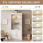 78.75'' Tall Bookcase, Display Cabinet with 5-Color Adjustable LED Ceiling Light & Tempered Glass Shelves, Retro Style - ModernLuxe