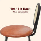 Rattan Dining Chairs with Thicken Upholstered and Metal Legs for Living Room