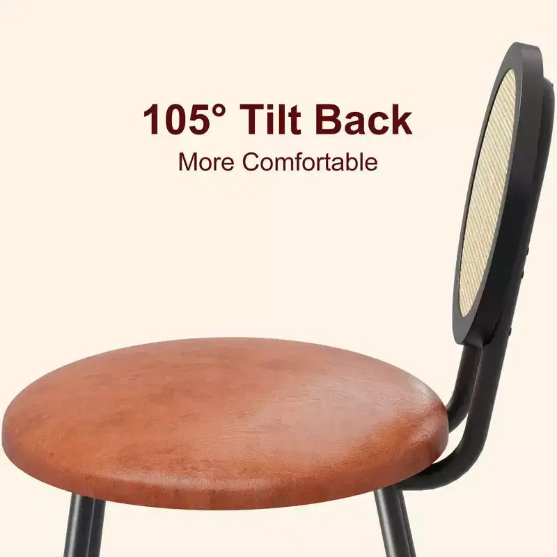 Rattan Dining Chairs with Thicken Upholstered and Metal Legs for Living Room