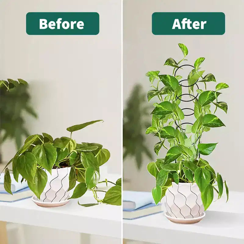 12 Pcs Small Trellis for Potted Plants, Heavy Duty Sturdy Metal Trellis Rustproof Houseplant Support