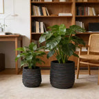 Large Round Planters Set of 2, 16x16 & 12x11, Lightweight Magnesium Oxide, Concrete Texture, Indoor Outdoor
