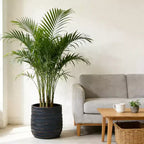 Large Round Planters Set of 2, 16x16 & 12x11, Lightweight Magnesium Oxide, Concrete Texture, Indoor Outdoor