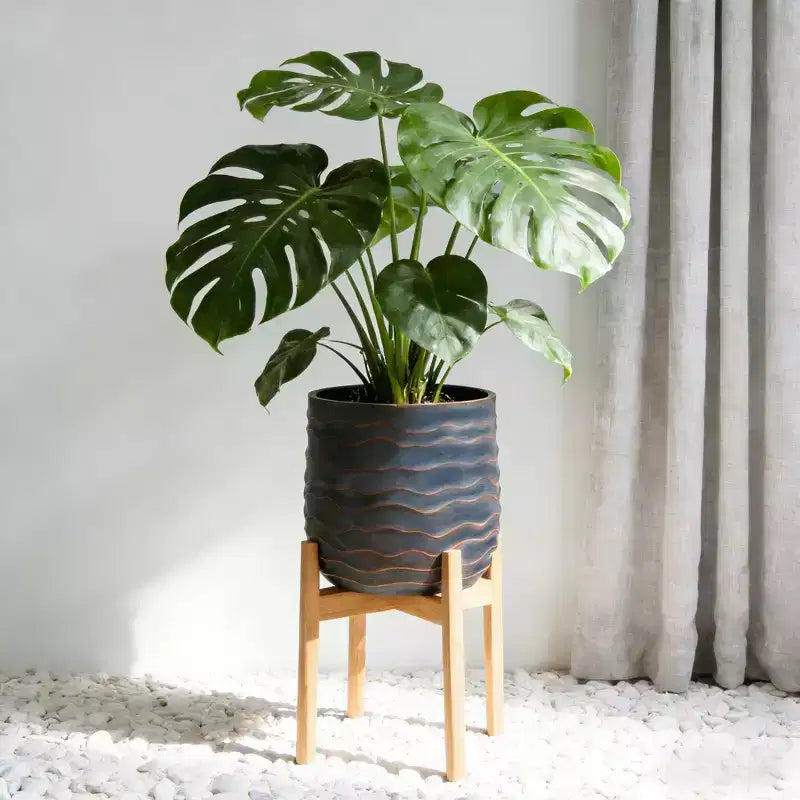 Large Round Planters Set of 2, 16x16 & 12x11, Lightweight Magnesium Oxide, Concrete Texture, Indoor Outdoor