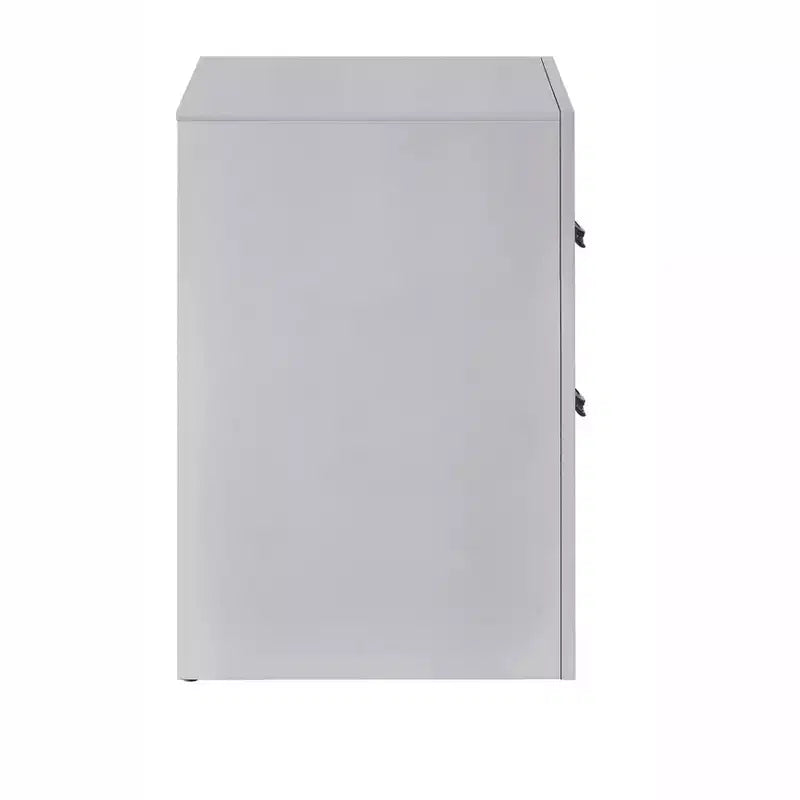 Passion Furniture Moreland Sparkling White 2-Drawer 24 in. W Nightstand