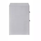 Passion Furniture Moreland Sparkling White 2-Drawer 24 in. W Nightstand