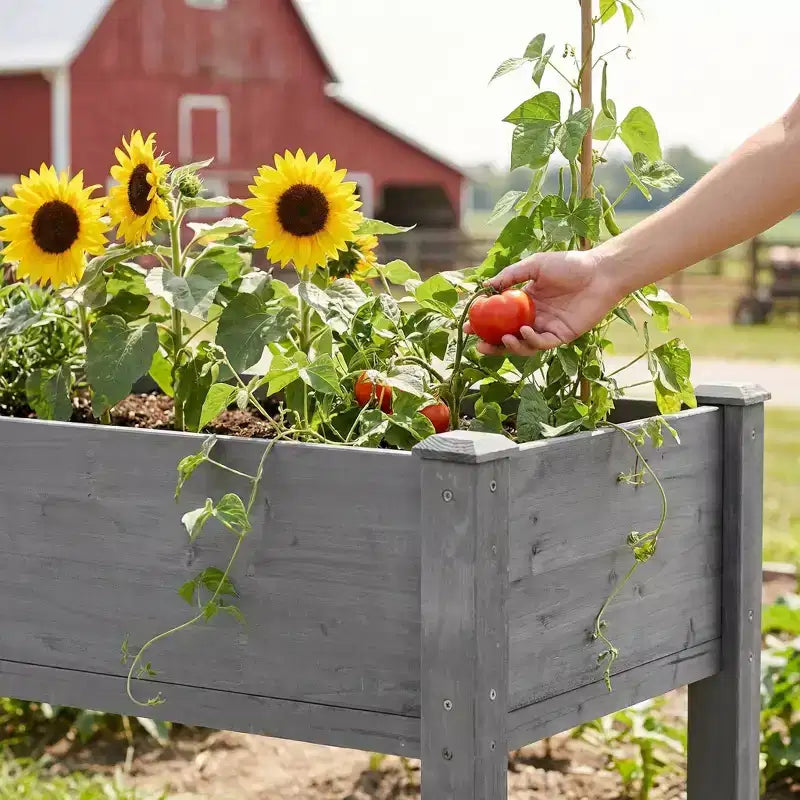 Large Raised Garden Bed with Legs, 48 L x 24 W x 30 H, Made of Solid Wood