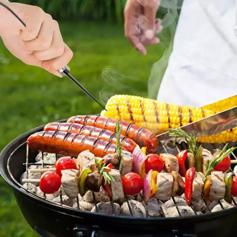 NutriChef PRTPWIRBBQ80PG Replacement BBQ Temperature Probes for Wireless Bluetooth Thermometer (2 Probes)