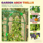 A-Frame Metal Arch Trellis for Outdoor Climbing Plants with Climbing Net