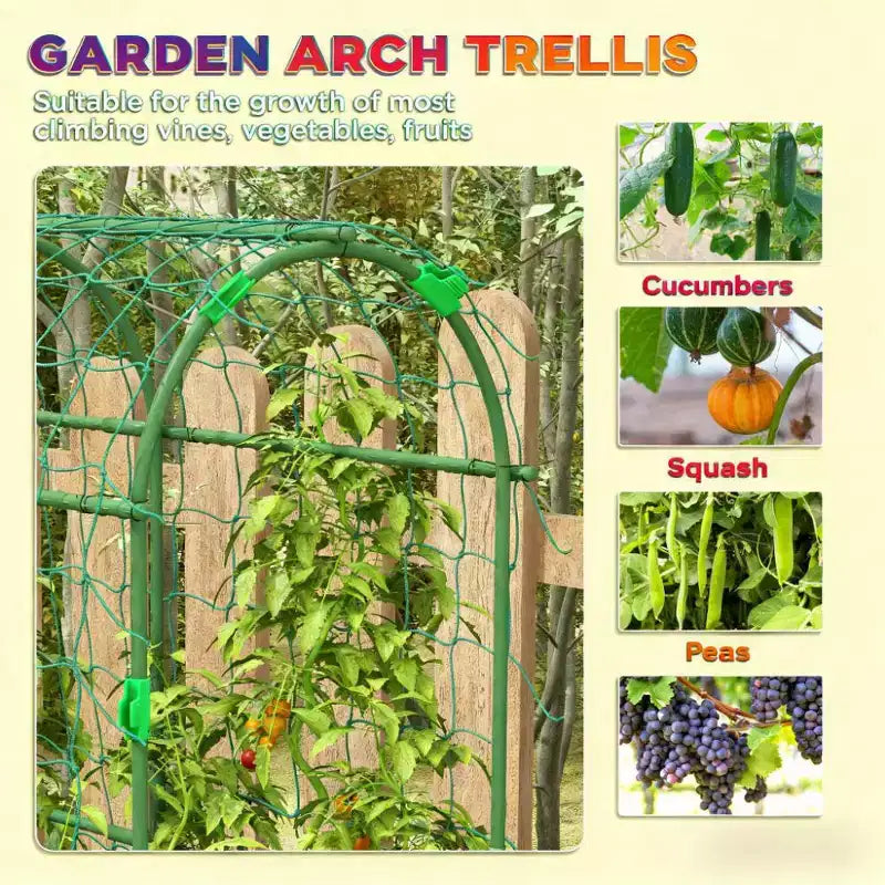 A-Frame Metal Arch Trellis for Outdoor Climbing Plants with Climbing Net