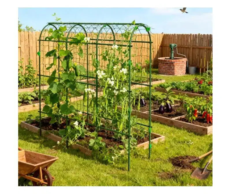 A-Frame Metal Arch Trellis for Outdoor Climbing Plants with Climbing Net