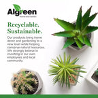 Algreen Receptacle Large Outdoor Rock Cover Decorative Lawn and Garden Landscape Accent to Hide Wires or Other Equipment, Warm Gray