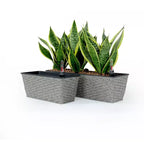 2-Pack Gray Wicker Rectangle Self-Watering Planter Pot for Indoor Outdoor Use, Flower Pot with Reservoir, Drainage and Weather-Ready Design