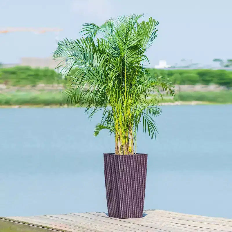 30 In Tall Brown Self-Watering Planter for Outdoor Indoor Use, Large Faux Rattan Flower Pot with Water Monitor and Inner Bucket