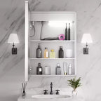 FAMYYT 20 in. W x 28 in. H Rectangular Iron Medicine Cabinet with Mirror, Dimmable LED Light, Anti-Fog and Outlets - Fully Assemble