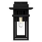 Morgan 1-Light Earth Black Outdoor Wall Lantern
