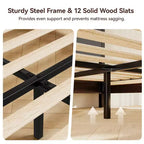 Dyonery Wood Queen Bed Frame, Platform Bed with Tall Headboard, Solid Wood Slat Support, Noise-Free Mattress Foundation, No Box Spring Needed