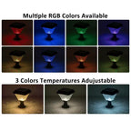 C Cattleya 2-Pack 8.5inch Matte Black Solar Post Cap Light with Remote Control,3CCT & RGB, Timer Function