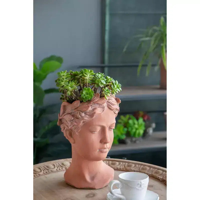 6x9 Brown Visage Bust Planter Indoor Outdoor Decorative Flower Pot for Patio Balcony Porch Entryway Shelf Display