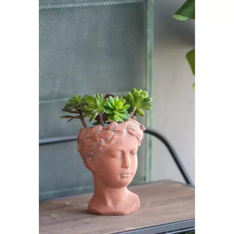 6x9 Brown Visage Bust Planter Indoor Outdoor Decorative Flower Pot for Patio Balcony Porch Entryway Shelf Display