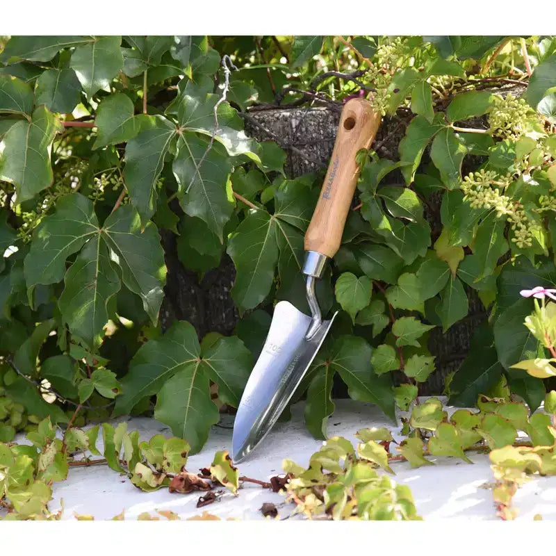 Garden Tidy Tray Gardening Set with Stainless Steel Hand Tools & Bamboo Handles, Multiple Tool Options & Colors