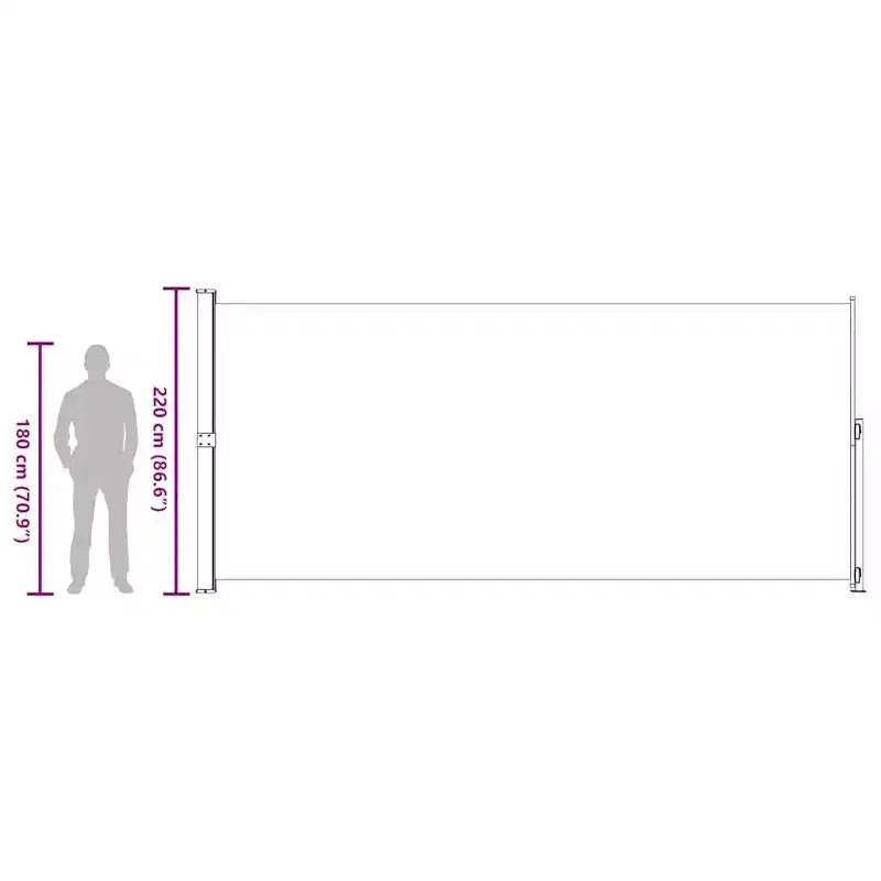 vidaXL Side Awning Black and grey