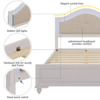 Queen LED Light Upholstered Platform Bed with Adjustable Lighting