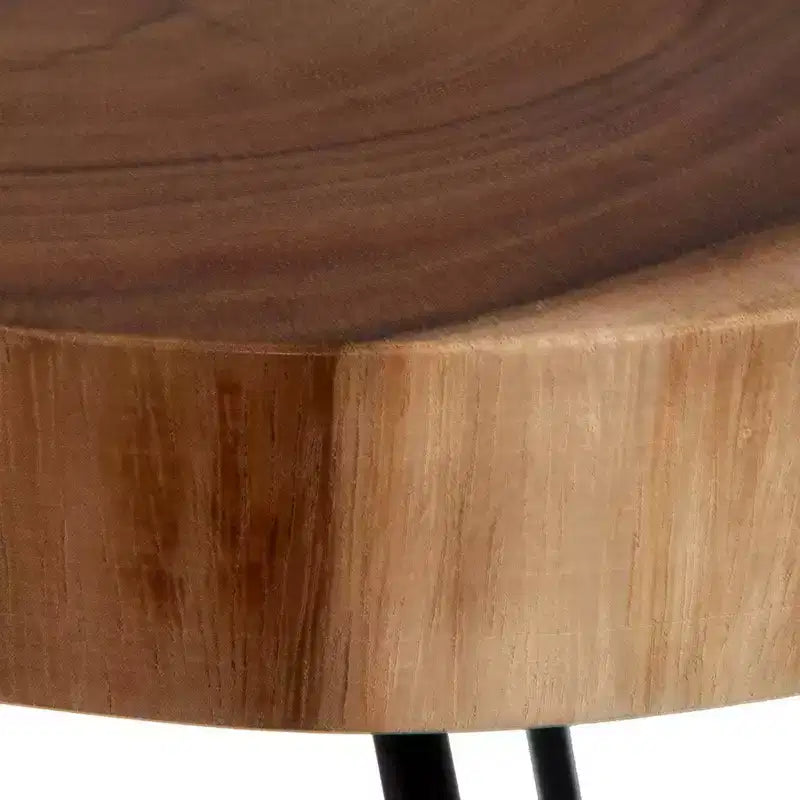 East at Main Natura Freeform Side Table with Iron Base Brown/Black