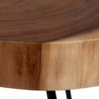 East at Main Natura Freeform Side Table with Iron Base Brown/Black